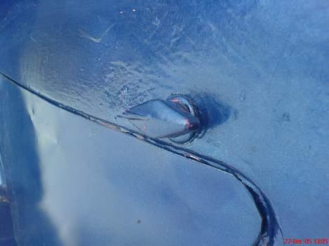 Puch R 50 billede 18