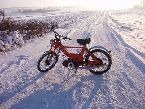 Puch maxi k solgt billede 1