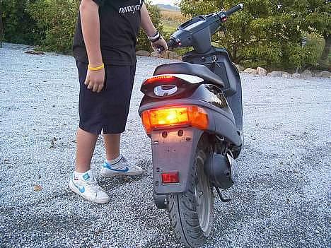 Adly Silverfox billede 8