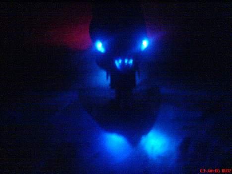 PGO Dr. big! byttes for sonic billede 8