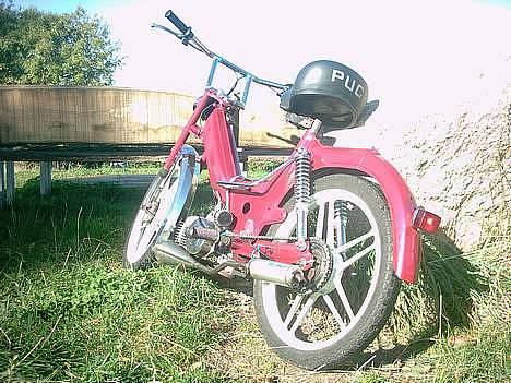 Puch Maxi KL Soldt billede 5