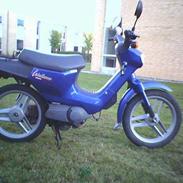 Honda Wallaroo