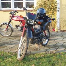 Yamaha sting >>SOLGT<<