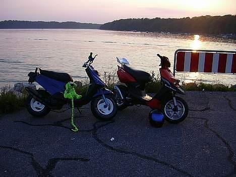 PGO hot 50 billede 7