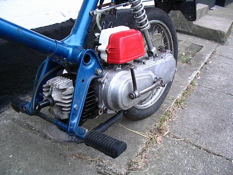 Honda Express billede 3