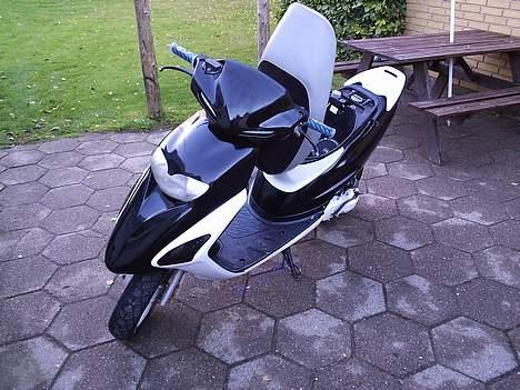 Honda Sfx ( SOLGT ) billede 2