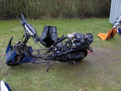 Honda sfx (SOLGT) billede 3