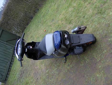 Honda sfx (SOLGT) billede 4