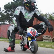 Blata WRS Special Edition EM