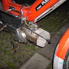Puch maxi p *jernhesten* FØR