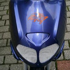 Aprilia Rally -Projekt-