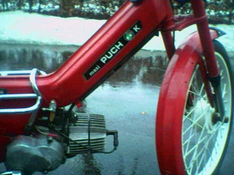 Puch Maxi K Solgt-1700 - skal du frem i flokken, skal der IKKE stå Puch på blokken! hehe ( undskyld de dårlige billeder ) billede 4