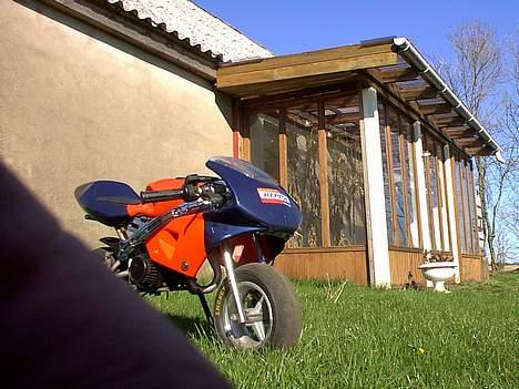 MiniBike racer bike  (solgt) billede 7