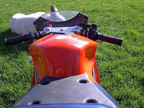 MiniBike racer bike  (solgt) billede 9