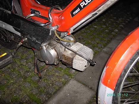 Puch maxi p *jernhesten* FØR billede 2