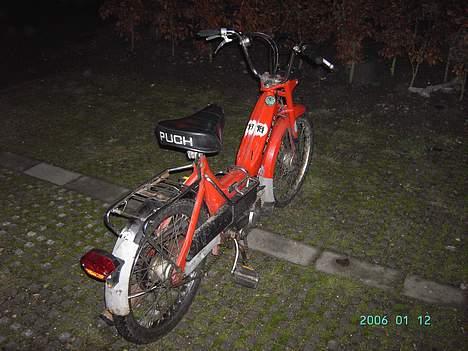 Puch maxi p *jernhesten* FØR billede 5