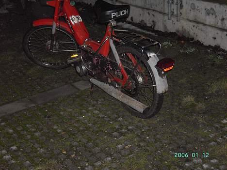 Puch maxi p *jernhesten* FØR billede 7