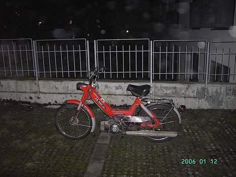 Puch maxi p *jernhesten* FØR billede 8