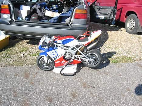 Blata WRS Special Edition EM - Min fede Blata klar til race (blev faktisk nr. 7 til DM i Pocketbike under DMU, slå lige den ! billede 5