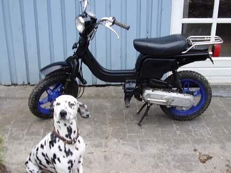Suzuki fz50 SOLGT - hov hund i billedet billede 13