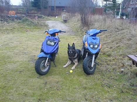 Yamaha bws ng/ protjekt FØR billede 15