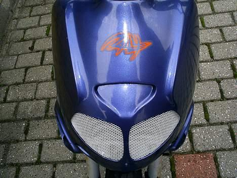 Aprilia Rally -Projekt- billede 2