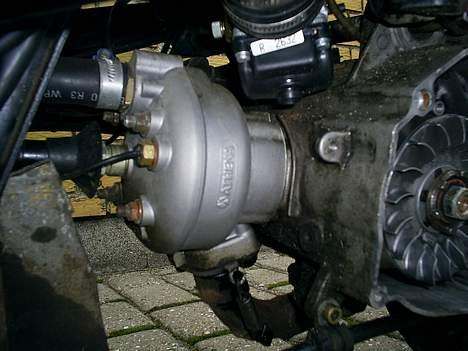 Aprilia Rally -Projekt- - Athena EVO 47,6 billede 5