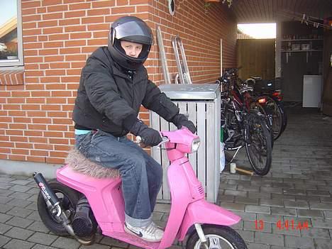 Honda Melody,SFX S O L G T billede 5