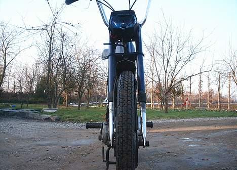 Puch Maxi (TIL SALG!!) billede 6