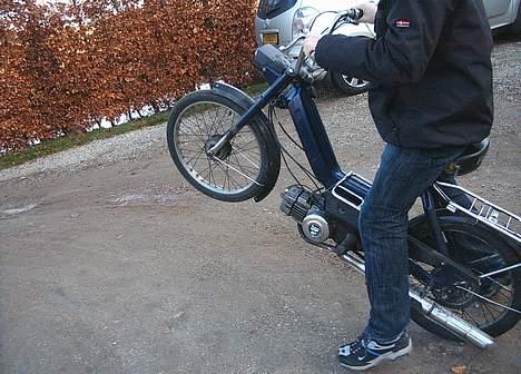 Puch Maxi (TIL SALG!!) billede 10