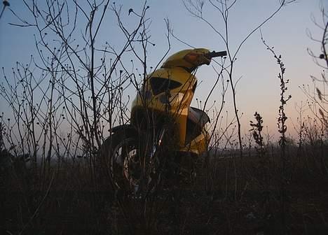 Piaggio NRG mc³ - Må sku indrømme det er lang tid siden græsset er slået... billede 2