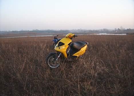 Piaggio NRG mc³ - Den er jo dejlig.. billede 4