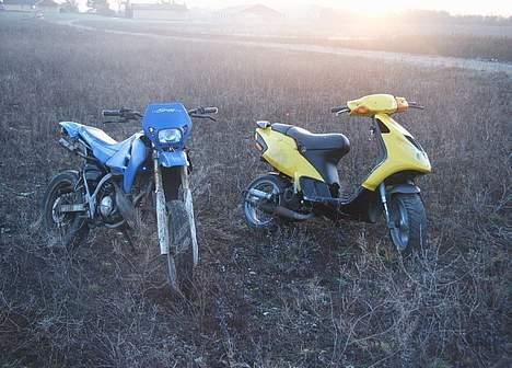 Piaggio NRG mc³ - de er søde ikk ! billede 5