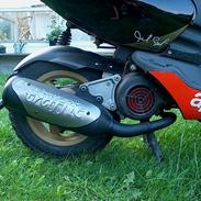 Aprilia Sonic GP *SOLGT* ;'(