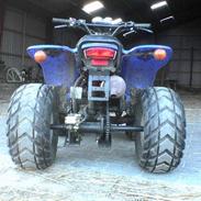 CPI atv