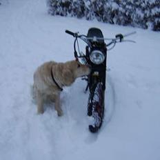 Malaguti projekt.. ;) 