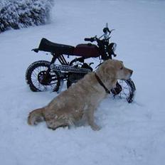 Malaguti projekt.. ;) 