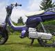 Suzuki Fz50 Desværre sogt!!!!!!l
