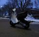 Aprilia - Sonic $ SOLGT