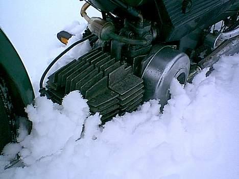 Puch maxi billede 8