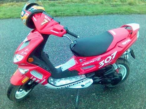 Peugeot speedfighter 2 wrc 307( billede 1