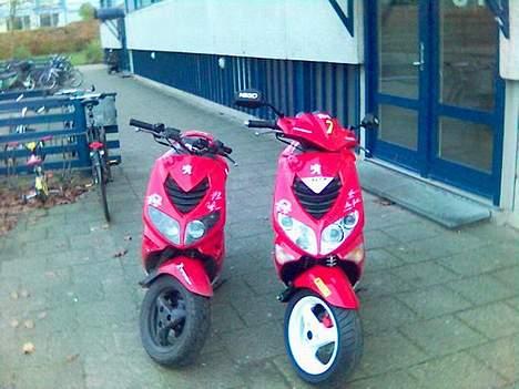 Peugeot speedfighter 2 wrc 307( billede 2