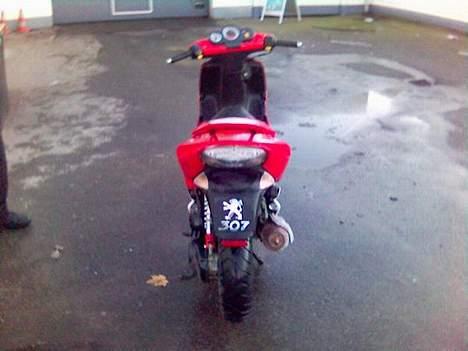 Peugeot speedfighter 2 wrc 307( billede 3