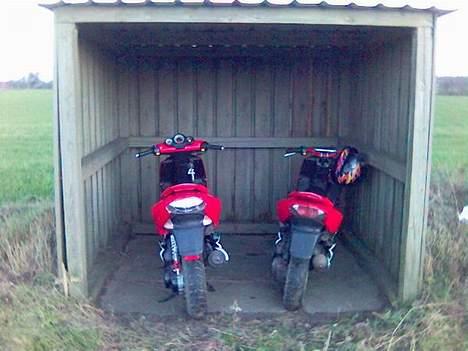 Peugeot speedfighter 2 wrc 307( billede 4