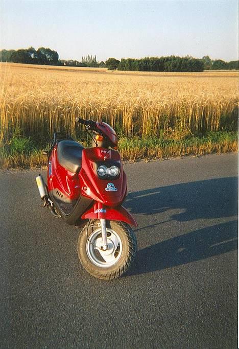 PGO    Hot 50 billede 1