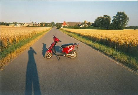 PGO    Hot 50 billede 2