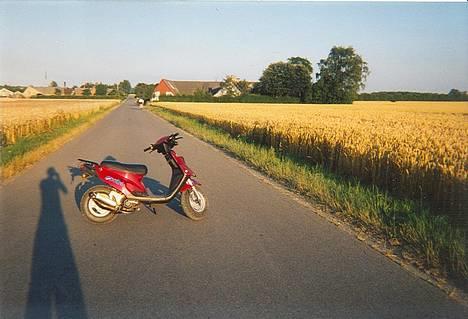 PGO    Hot 50 billede 3