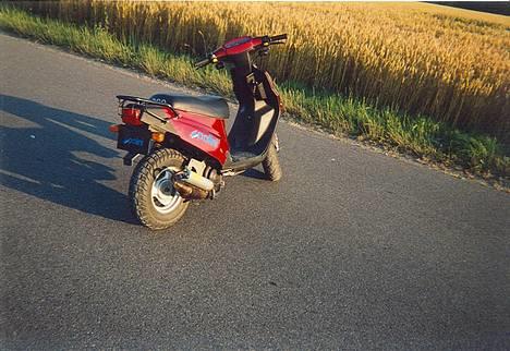 PGO    Hot 50 billede 4