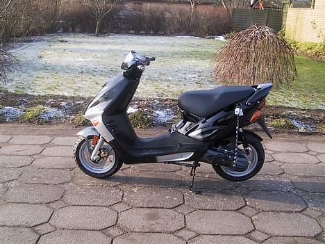 Adly tmp gazelle billede 1