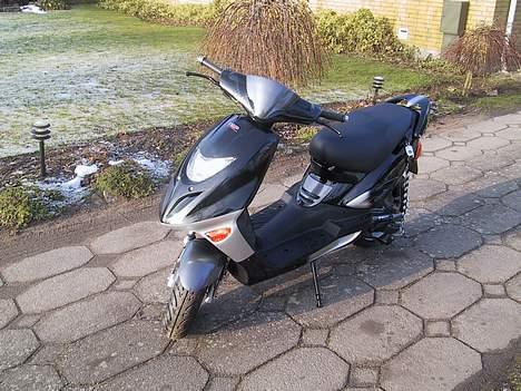 Adly tmp gazelle billede 2